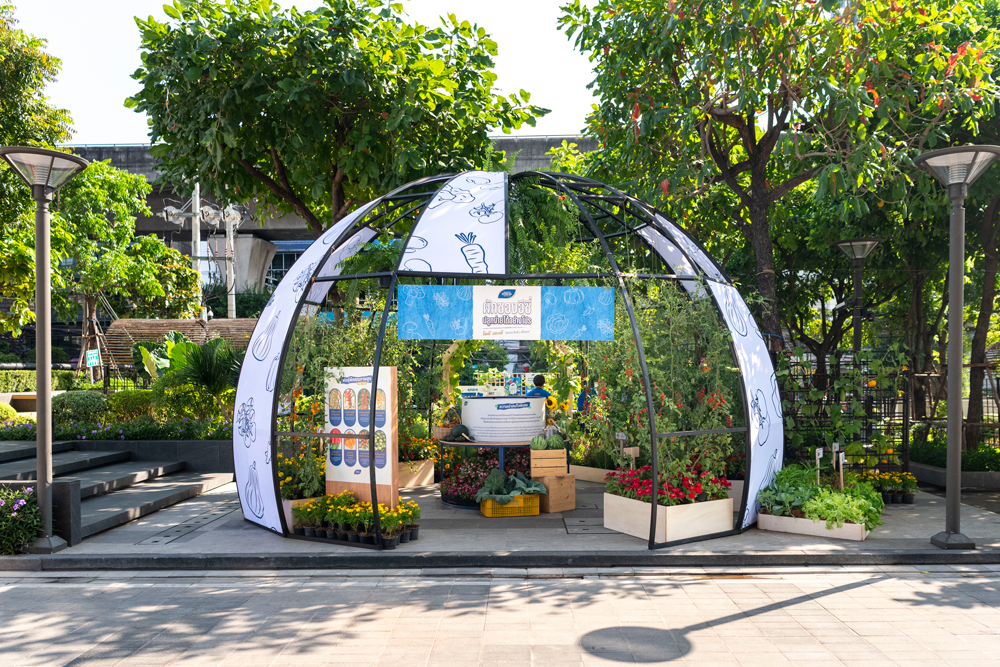 เจียไต๋เปิดตัว “ผักซองอีซี่ ปลูกง่าย ได้อย่างโปร” เปิดประสบการณ์และยกระดับการปลูก ชูกลยุทธ์ใช้งานสะดวก โตดี งอกดี ด้วยคุณภาพเมล็ดพันธุ์เทียบเท่าระดับโปร