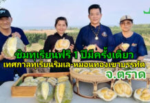 ชิมทุเรียนฟรี!! 1 ปีมีครั้งเดียว “เทศกาลทุเรียนริมเล-หมอนทองเขาบรรทัด” จังหวัดตราด ชิมทุเรียนฟรี!! 1 ปีมีครั้งเดียว “เทศกาลทุเรียนริมเล-หมอนทองเขาบรรทัด” จังหวัดตราด