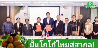 ปั้นโกโก้ไทยสู่สากล! สจล. กางโมเดล “ศูนย์วิจัยไทย-รัสเซีย” แยกโซนเหนือ-ใต้ ด้วยเกษตรแม่นยำ