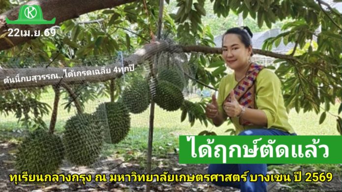 ทุเรียนกลางกรุง ณ มหาวิทยาลัยเกษตรศาสตร์ บางเขน ปี 2569