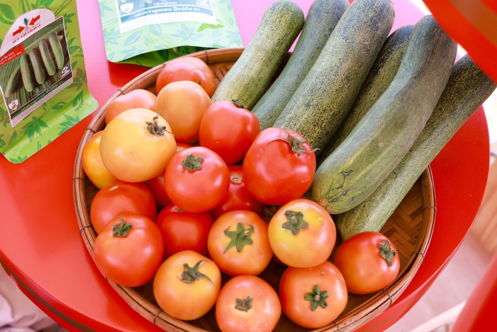 หยุดเผา-สร้างรายได้! "ศรแดง-ปตท.สผ." ผุดโมเดลเกษตร Zero Burn ปราบฝุ่นพิษด้วยพืชน้ำน้อย