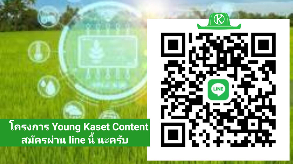 เกษตรก้าวไกล เปิดตัวโครงการ "Young Kaset Content" ผนึกกำลังนิสิตนักศึกษาทั่วประเทศ ปั้นนักข่าวเกษตรรุ่นใหม่ พลิกโฉมสื่อสารภาคเกษตร