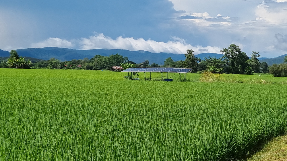 สว.ธวัช หนุนรัฐบาลปูพรม “โซล่าเซลล์-บ่อบาดาล” กระจายแหล่งน้ำขนาดย่อยทั่วประเทศ ชูแก้ปัญหาปากท้องนำการเมือง