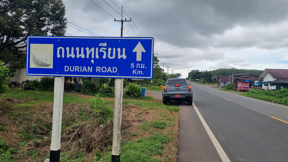 ชิมทุเรียนฟรี!! 1 ปีมีครั้งเดียว “เทศกาลทุเรียนริมเล-หมอนทองเขาบรรทัด” จังหวัดตราด