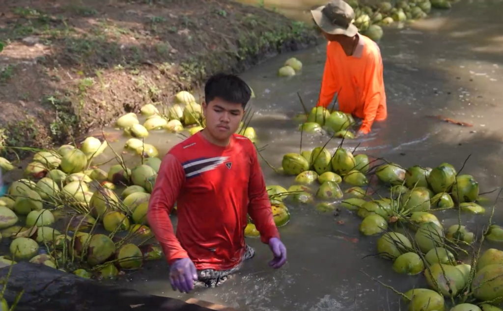 โก โฮลเซลล์ ต่อยอดมะพร้าวน้ำหอมช่วยชาวสวน ดันแปรรูป สร้างมูลค่าเพิ่ม แบรนด์ A-Choice เพิ่มทางเลือกผู้ประกอบการ