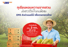 ไปรษณีย์ไทย ชู "EMS ส่งด่วน" ยืนหนึ่งขนส่งทุเรียน จัดโปรลดสูงสุด 20% หนุนเกษตรกรกระจายผลผลิตทั่วไทย