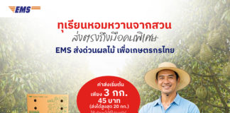ไปรษณีย์ไทย ชู "EMS ส่งด่วน" ยืนหนึ่งขนส่งทุเรียน จัดโปรลดสูงสุด 20% หนุนเกษตรกรกระจายผลผลิตทั่วไทย