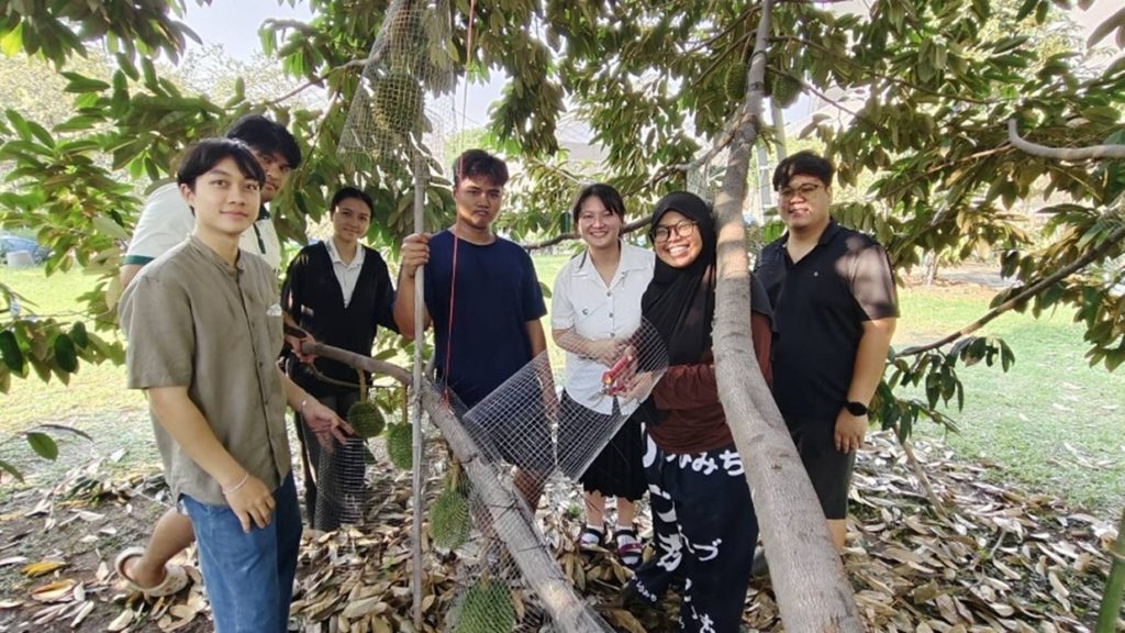 ทุเรียนกลางกรุง ณ มหาวิทยาลัยเกษตรศาสตร์ บางเขน ปี 2569