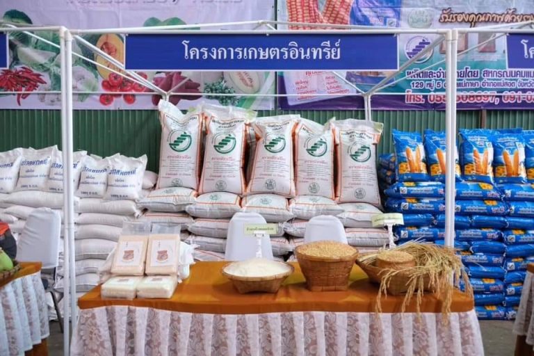 กรมส่งเสริมสหกรณ์งัด 7 มาตรการช่วยสหกรณ์ หนุนใช้ “พลังงานสะอาด”ควบคู่ลดต้นทุนผลิต