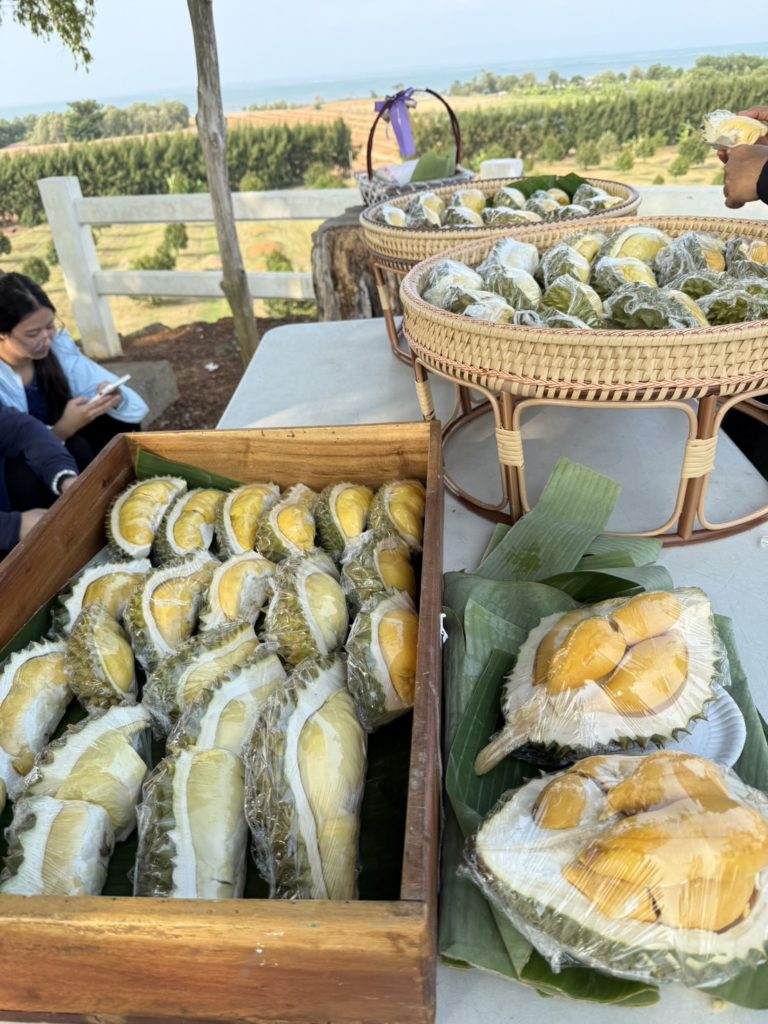 ชิมทุเรียนฟรี!! 1 ปีมีครั้งเดียว “เทศกาลทุเรียนริมเล-หมอนทองเขาบรรทัด” จังหวัดตราด