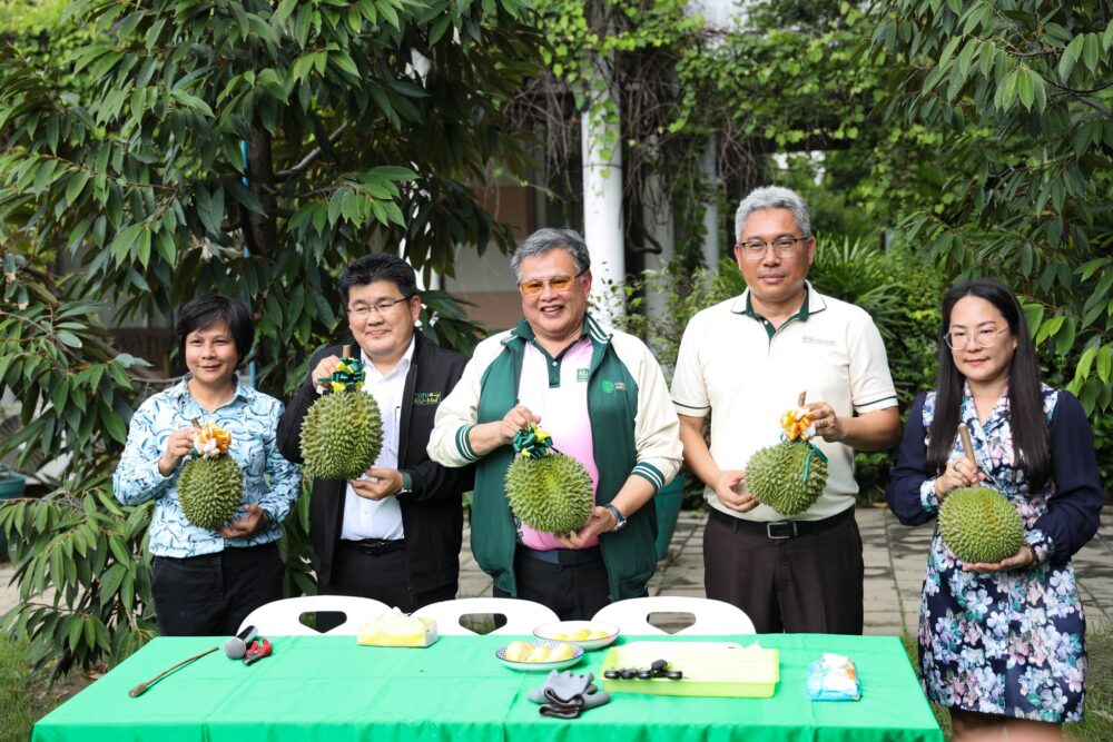 ทุเรียนกลางกรุง ณ มหาวิทยาลัยเกษตรศาสตร์ บางเขน ปี 2569