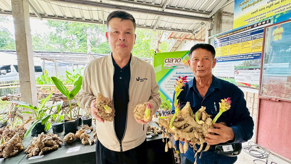 พกฉ. เดินหน้าสร้างคลังอาหารยั่งยืน ดันเครือข่ายเศรษฐกิจพอเพียงสู้วิกฤตปากท้องทั่วไทย