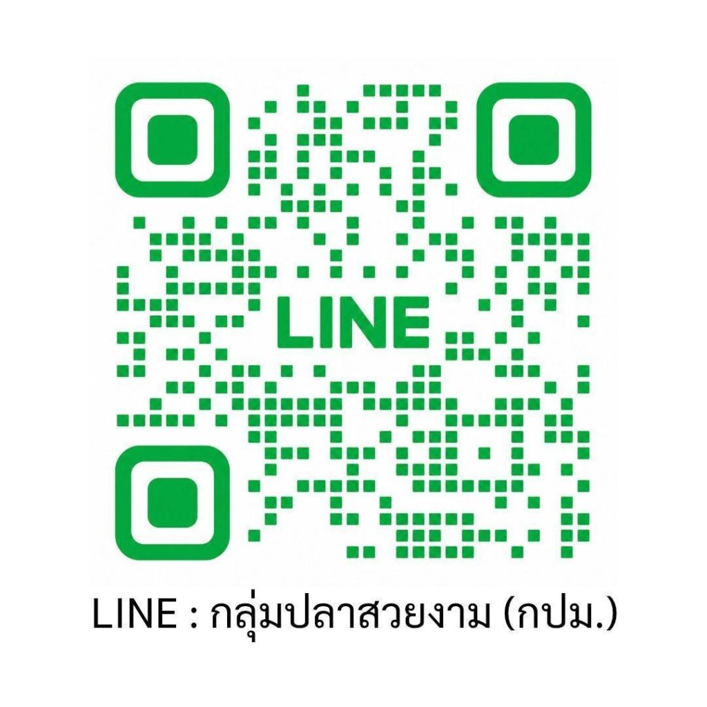 กรมประมงชวนชิงถ้วยพระราชทานฯ ประกวดปลาสวยงาม 8 ชนิด 81 ประเภท พร้อมเปิดเวที "ปลาบอลลูน" ครั้งแรกในงานวันประมงน้อมเกล้าฯ ครั้งที่ 36