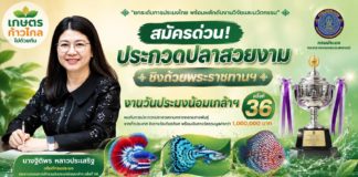กรมประมงชวนชิงถ้วยพระราชทานฯ ประกวดปลาสวยงาม 8 ชนิด 81 ประเภท พร้อมเปิดเวที "ปลาบอลลูน" ครั้งแรกในงานวันประมงน้อมเกล้าฯ ครั้งที่ 36
