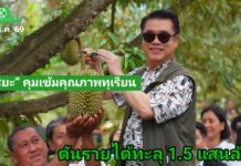 “สุริยะ” คุมเข้มคุณภาพทุเรียนไทย ดันนโยบาย “4 ไม่” พร้อมเปิดด่านส่งออก 24 ชม. รักษาแชมป์ตลาดจีน ดันรายได้ทะลุ 1.5 แสนล้าน