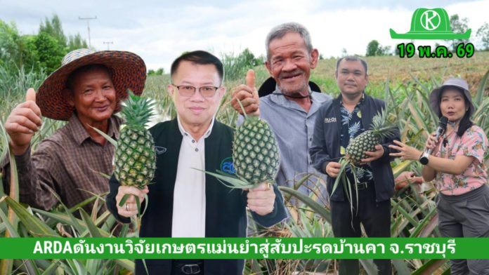 ARDA พลิกเกมเกษตรไทย ดันงานวิจัยเกษตรแม่นยำสู่แปลงเกษตรกร ลดต้นทุนปลูกสับปะรด 854 บาทต่อไร่ พร้อมปั้น Smart Famer สร้างรายได้ชาวนาเพิ่ม 20% ARDA พลิกเกมเกษตรไทย ดันงานวิจัยเกษตรแม่นยำสู่แปลงเกษตรกร ลดต้นทุนปลูกสับปะรด 854 บาทต่อไร่ พร้อมปั้น Smart Famer สร้างรายได้ชาวนาเพิ่ม 20%
