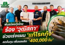 พันธมิตรผู้เลี้ยงกุ้งไทย ยื่นร้อง “วุฒิสภา” ช่วยเร่งแผนปฏิบัติการ ‘แก้โรคกุ้ง-ลดต้นทุน’ ดันผลผลิตคืนเป้า 4 แสนตัน พันธมิตรผู้เลี้ยงกุ้งไทย ยื่นร้อง “วุฒิสภา” ช่วยเร่งแผนปฏิบัติการ 'แก้โรคกุ้ง-ลดต้นทุน' ดันผลผลิตคืนเป้า 4 แสนตัน