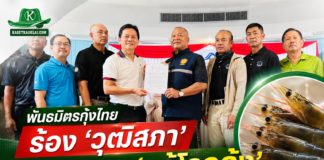 พันธมิตรผู้เลี้ยงกุ้งไทย ยื่นร้อง “วุฒิสภา” ช่วยเร่งแผนปฏิบัติการ 'แก้โรคกุ้ง-ลดต้นทุน' ดันผลผลิตคืนเป้า 4 แสนตัน