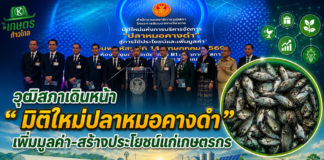 วุฒิสภาเดินหน้าสัมมนา “มิติใหม่แห่งการบริหารจัดการปลาหมอคางดำ” มุ่งเปลี่ยนวิกฤตเป็นโอกาส เพิ่มมูลค่า-สร้างประโยชน์แก่เกษตรกร