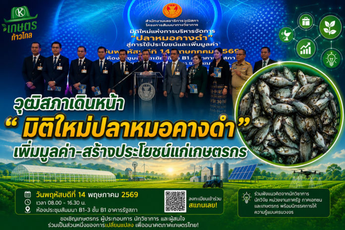 วุฒิสภาเดินหน้าสัมมนา “มิติใหม่แห่งการบริหารจัดการปลาหมอคางดำ” วุฒิสภาเดินหน้าสัมมนา “มิติใหม่แห่งการบริหารจัดการปลาหมอคางดำ” มุ่งเปลี่ยนวิกฤตเป็นโอกาส เพิ่มมูลค่า-สร้างประโยชน์แก่เกษตรกร