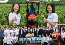 คูโบต้า-กรมส่งเสริมฯ ปั้นนักปลูกมันยุคใหม่ ใช้ข้อมูลนำทาง สู้ตลาดโลก