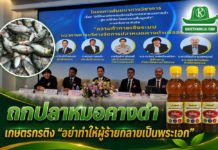 วุฒิสภาเปิดเวทีถกปัญหาปลาหมอคางดำ ตัวแทนเกษตรกรติงอย่าทำให้ผู้ร้ายกลายเป็นพระเอก
