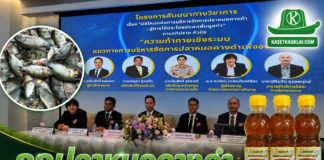วุฒิสภาเปิดเวทีถกปัญหาปลาหมอคางดำ ตัวแทนเกษตรกรติงอย่าทำให้ผู้ร้ายกลายเป็นพระเอก