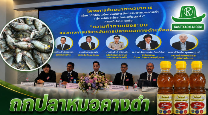 วุฒิสภาเปิดเวทีถกปัญหา “ปลาหมอคางดำ” ตัวแทนเกษตรกรติงอย่าทำให้ผู้ร้ายกลายเป็นพระเอก วุฒิสภาเปิดเวทีถกปัญหาปลาหมอคางดำ ตัวแทนเกษตรกรติงอย่าทำให้ผู้ร้ายกลายเป็นพระเอก