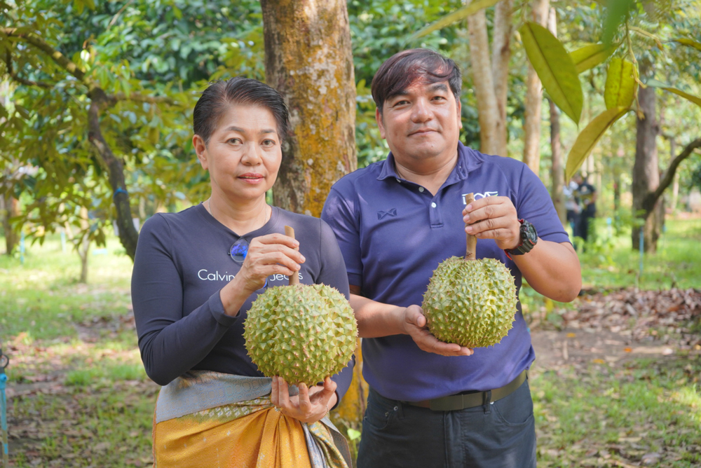 เปิดฤดูกาลทุเรียนเมืองกาญจน์ การันตีคุณภาพพรีเมียม "แก่จัด เนื้อแน่น ไม่มีทุเรียนอ่อน"