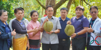 เปิดฤดูกาลทุเรียนเมืองกาญจน์ การันตีคุณภาพพรีเมียม "แก่จัด เนื้อแน่น ไม่มีทุเรียนอ่อน"