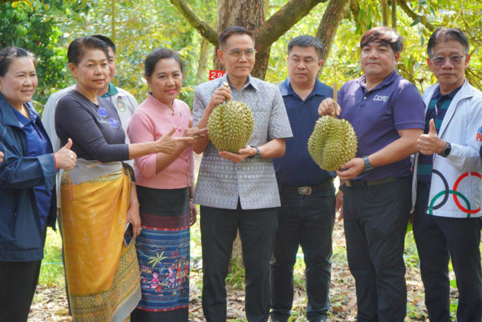 เปิดฤดูกาลทุเรียนเมืองกาญจน์ การันตีคุณภาพพรีเมียม 