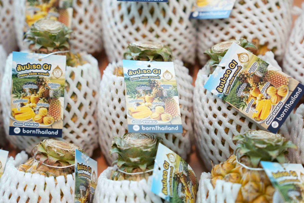 NIA ผนึกเครือข่าย GIFT นำนวัตกรรมแก้เกมสินค้าเกษตรล้นตลาด ตั้งเป้าทรานส์ฟอร์มการจัดการระบบการเกษตรทั้งห่วงโซ่ พร้อมยกระดับรายได้เกษตรกรไทย