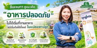 ซินเจนทาชูแนวคิด “อาหารปลอดภัย” ไม่ได้เริ่มที่จานอาหาร แต่เริ่มต้นได้ตั้งแต่ในแปลงเพาะปลูก