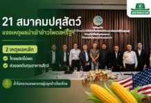 21 สมาคมปศุสัตว์-ประมง ผนึกกำลังแจงเหตุผลนำเข้าข้าวโพดสหรัฐฯ ภายใต้กรอบ WTO ย้ำช่วยลดต้นทุนอาหารสัตว์ และไม่กระทบเกษตรกรไทย