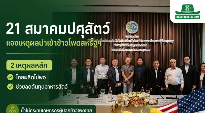 21 สมาคมปศุสัตว์-ประมง ผนึกกำลังแจงเหตุผลนำเข้าข้าวโพดสหรัฐฯ ภายใต้กรอบ WTO ย้ำช่วยลดต้นทุนอาหารสัตว์ และไม่กระทบเกษตรกรไทย