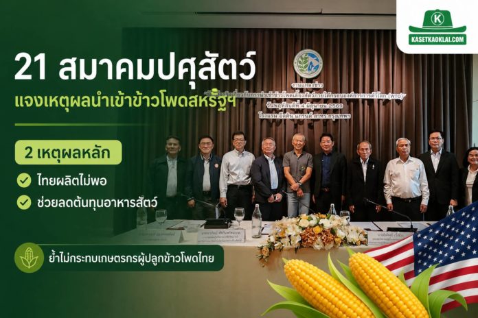 21 สมาคมปศุสัตว์-ประมง ผนึกกำลังแจงเหตุผลนำเข้าข้าวโพดสหรัฐฯ ภายใต้กรอบ WTO ย้ำช่วยลดต้นทุนอาหารสัตว์ และไม่กระทบเกษตรกรไทย