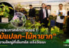 ไทยประกาศศักดาเบอร์ 1 ไม้แปลก–ไม้หายาก Bangkok International Exotic Plants Show & Sale ครั้งที่ 21 ไต้หวันร่วมเปิดงานพร้อมต่อยอด ไทยประกาศศักดาเบอร์ 1 ไม้แปลก–ไม้หายาก ผ่านงาน Bangkok International Exotic Plants Show & Sale ครั้งที่ 21 ไต้หวันร่วมเปิดงานพร้อมต่อยอดความร่วมมือ