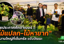 ไทยประกาศศักดาเบอร์ 1 ไม้แปลก–ไม้หายาก Bangkok International Exotic Plants Show & Sale ครั้งที่ 21 ไต้หวันร่วมเปิดงานพร้อมต่อยอด ไทยประกาศศักดาเบอร์ 1 ไม้แปลก–ไม้หายาก ผ่านงาน Bangkok International Exotic Plants Show & Sale ครั้งที่ 21 ไต้หวันร่วมเปิดงานพร้อมต่อยอดความร่วมมือ