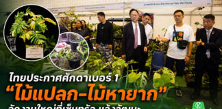 ไทยประกาศศักดาเบอร์ 1 ไม้แปลก–ไม้หายาก ผ่านงาน Bangkok International Exotic Plants Show & Sale ครั้งที่ 21 ไต้หวันร่วมเปิดงานพร้อมต่อยอดความร่วมมือ