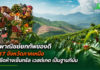 พาณิชย์ยกทัพของดี 17 จังหวัดภาคเหนือบุกกรุงเทพฯ ในงาน Northern Agri Food & Coffee 2026 พาณิชย์ยกทัพของดี 17 จังหวัดภาคเหนือเสิร์ฟผู้บริโภค! ในงาน “Northern Agri Food & Coffee 2026” หนุนเกษตรกรโกอินเตอร์ ชูไฮไลท์สินค้าเด่นเกษตรอินทรีย์ สินค้า GI กาแฟยอดดอย และสินค้าพรีเมียม