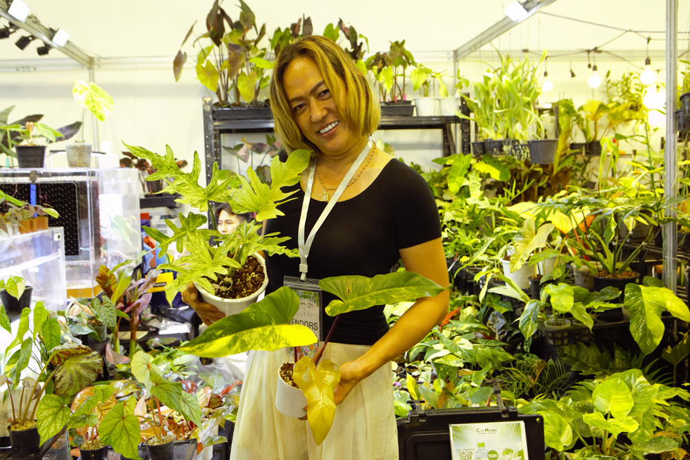 ไทยประกาศศักดาเบอร์ 1 ไม้แปลก–ไม้หายาก ผ่านงาน Bangkok International Exotic Plants Show & Sale ครั้งที่ 21 ไต้หวันร่วมเปิดงานพร้อมต่อยอดความร่วมมือ