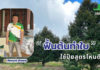 ข้อมูลโดย : ธรรมรัฐ พิทักษ์สันติสุข กรรมการผู้จัดการ หจก.ชัยพฤกษ์ อโกรเทค จำกัด จ.จันทบุรี ผู้มีประสบการณ์ดูแลสวนทุเรียนในภาคตะวันออกมากกว่า 20 ปี