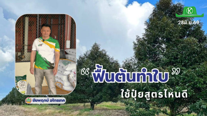 ข้อมูลโดย : ธรรมรัฐ พิทักษ์สันติสุข กรรมการผู้จัดการ หจก.ชัยพฤกษ์ อโกรเทค จำกัด จ.จันทบุรี ผู้มีประสบการณ์ดูแลสวนทุเรียนในภาคตะวันออกมากกว่า 20 ปี
