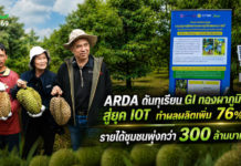 ARDA ดันทุเรียนทองผาภูมิ GI สู่ยุคดิจิทัล ผลผลิตเพิ่ม 76% ลดทุเรียนอ่อน 77% หนุนรายได้ชุมชนกว่า 300 ล้านบาท