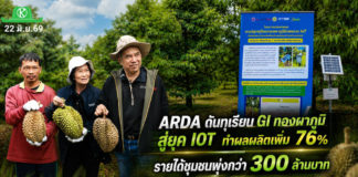 ARDA ดันทุเรียน GI ทองผาภูมิสู่ยุค IOT ทำผลผลิตเพิ่ม 76% รายได้ชุมชนพุ่งกว่า 300 ล้านบาท ARDA ดันทุเรียนทองผาภูมิ GI สู่ยุคดิจิทัล ผลผลิตเพิ่ม 76% ลดทุเรียนอ่อน 77% หนุนรายได้ชุมชนกว่า 300 ล้านบาท