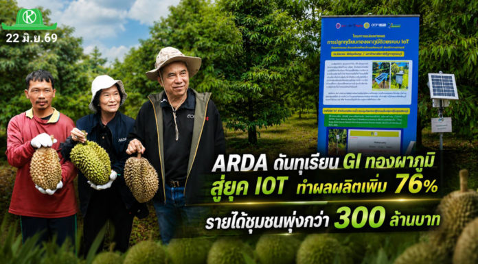 ARDA ดันทุเรียน GI ทองผาภูมิสู่ยุค IOT ทำผลผลิตเพิ่ม 76% รายได้ชุมชนพุ่งกว่า 300 ล้านบาท ARDA ดันทุเรียนทองผาภูมิ GI สู่ยุคดิจิทัล ผลผลิตเพิ่ม 76% ลดทุเรียนอ่อน 77% หนุนรายได้ชุมชนกว่า 300 ล้านบาท