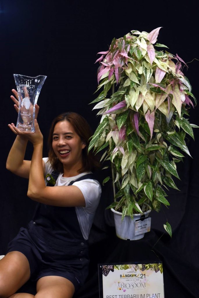 ไทยประกาศศักดาเบอร์ 1 ไม้แปลก–ไม้หายาก ผ่านงาน Bangkok International Exotic Plants Show & Sale ครั้งที่ 21 ไต้หวันร่วมเปิดงานพร้อมต่อยอดความร่วมมือ