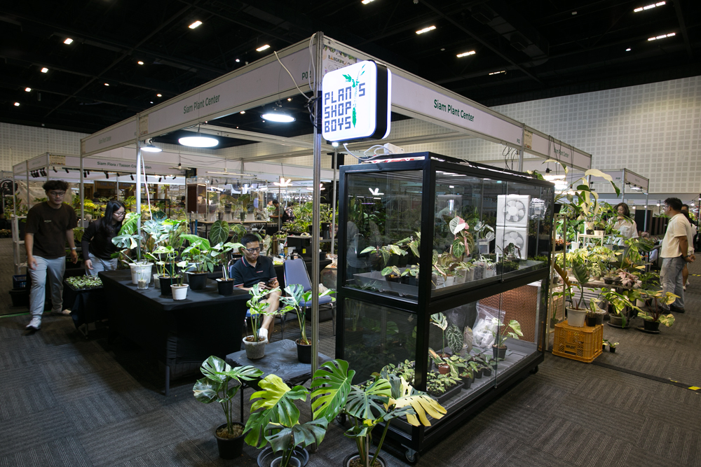 ไทยประกาศศักดาเบอร์ 1 ไม้แปลก–ไม้หายาก ผ่านงาน Bangkok International Exotic Plants Show & Sale ครั้งที่ 21 ไต้หวันร่วมเปิดงานพร้อมต่อยอดความร่วมมือ