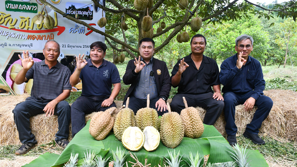 ชาวสวนทุเรียนทองผาภูมิ จัดกิจกรรมประมูลทุเรียนเพื่อการกุศล คาดราคาแตะลูกละ 5 หมื่นบาท