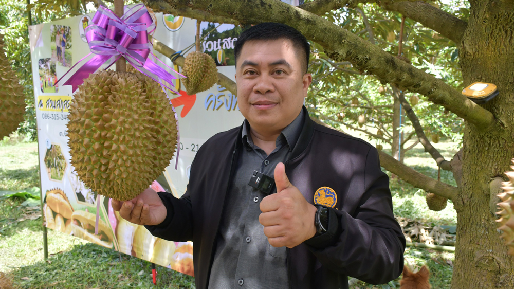 ชาวสวนทุเรียนทองผาภูมิ จัดกิจกรรมประมูลทุเรียนเพื่อการกุศล คาดราคาแตะลูกละ 5 หมื่นบาท